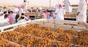 KSA: $61 Million Revenues of Buraidah Dates Festival