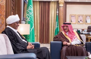 Saudi Crown Prince Receives OIC Secretary General