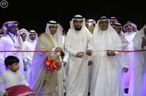 10 New All-Female Communication Complexes in Saudi Arabia