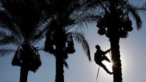 Dutch Technology to Help KSA Reduce Water Consumption