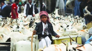 Saudi-Led Arab Coalition Targets Insurgency Locations in Taiz