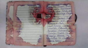 Journal of NY Bombing Suspect Bear Traces of ISIS, Qaeda