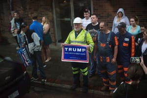 The Populism Perplex