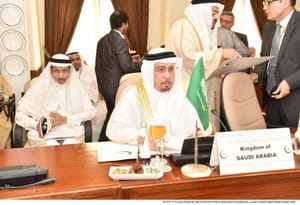 OIC Countries: Houthi, Saleh Supporters Involved in Mecca Aggression
