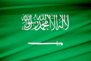Joint Bosnian-Serbian Delegation Visits Riyadh