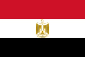 Egypt’s Largest Organ Trafficking Network Busted