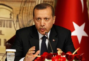 Turkey Says United, Peaceful Syria Impossible with Assad