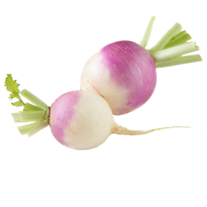 Turnip Boosts Height, Combats Osteoporosis