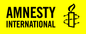 Amnesty Accuses Houthis of Recruiting Children for Fighting