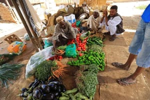 Sudan to End Subsidies by 2019
