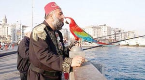 Istanbul’s Pasha and his Parrot: Talk of the Town