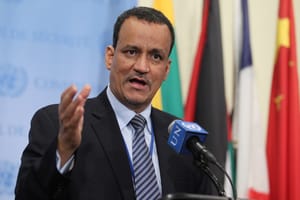 Yemeni Crisis to Be Solved within Weeks- UN