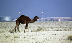 Case of Qataris Kidnapped in Iraq Close to Conclusion