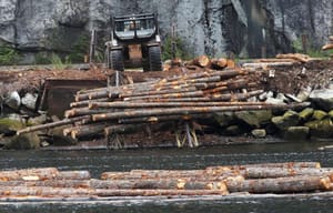 Jimmy Carter: Trump Is Right. Canada’s Lumber Trade Practices Are Unfair.