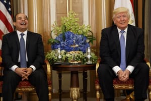 Trump Meets Sisi, Hopes to Visit Egypt