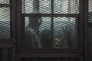 Al-Jazeera and the Muslim Brotherhood