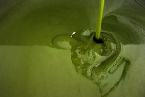 Extra-Virgin Olive Oil Preserves Memory, Protects Brain against Alzheimer’s