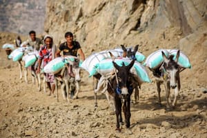 Yemeni Army Advances on Several Fronts in Taiz, Besieges Saadah