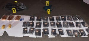 Bahrain Foils Narcotic Smuggling From Iran Via Sea