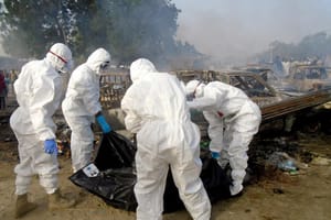 Dozens of Casualties in Nigeria Suicide Bombings