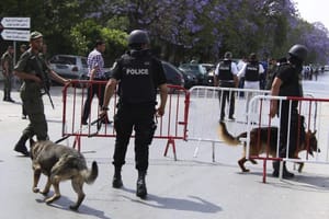 Tunisia: Govt Rehabilitation Program for Returning Terrorists