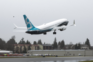 Sudanese Airplane Hits Huge Bird before Landing