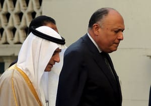 Shoukry: Ongoing Cooperation Between Anti-Terrorism Quartet