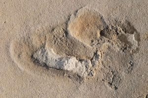 Ancient Footprints in Greece Challenges Theory of Human Evolution