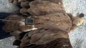 Israel Recuperates ‘Spy Eagle’ from Syria