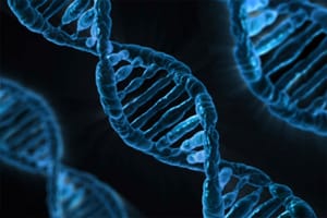 Scientists Find ‘Time Genetic System’ for Brain Activity