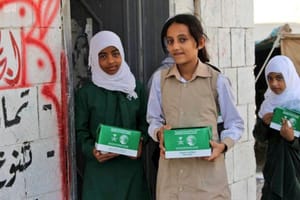 Arab League: UN Report on Yemen Lacks Accuracy