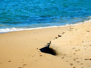 World Hungers for Sand while Germany has much of it