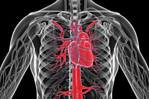 Danish Study Finds Link between Skin Infections, Heart Attacks