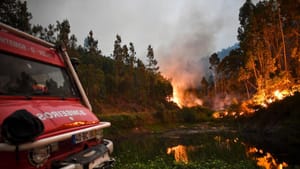 30 Killed as Fires Rage in Portugal and Spain