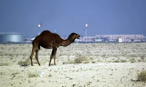 Case of Qataris Kidnapped in Iraq Close to Conclusion