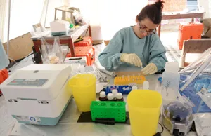 Fanged Fish Secretes Venom with Morphine-Like Effect