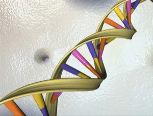Researchers Discover 40 Genes Related to Biology of Intelligence