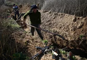 War Lays Waste to Syria’s Forestland, Wildlife