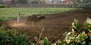 Turkey, Sudan Launch $10 Billion Agriculture Partnership