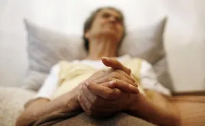 Scientists Develop Computer Game to Combat Dementia