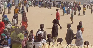 14 Dead in Twin Cameroon Suicide Bombings