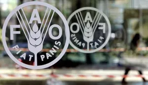 Saudi Arabia Participates at FAO Conference in Rome
