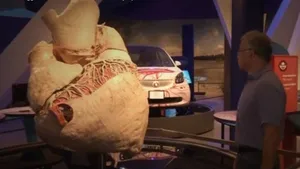 Biggest Heart in the World Preserved in Canadian Museum